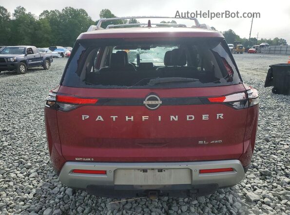 5N1DR3CD1PC213356 2023 NISSAN PATHFINDER Maroon Հետևի տեսք