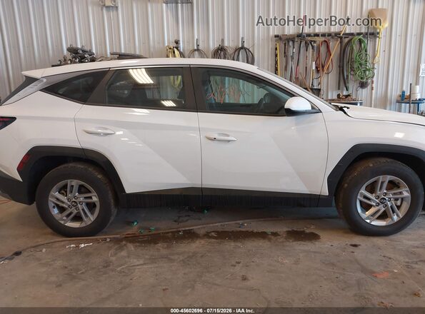 5NMJA3DE2TH677290 2026 HYUNDAI TUCSON White Widok wnętrza z tyłu