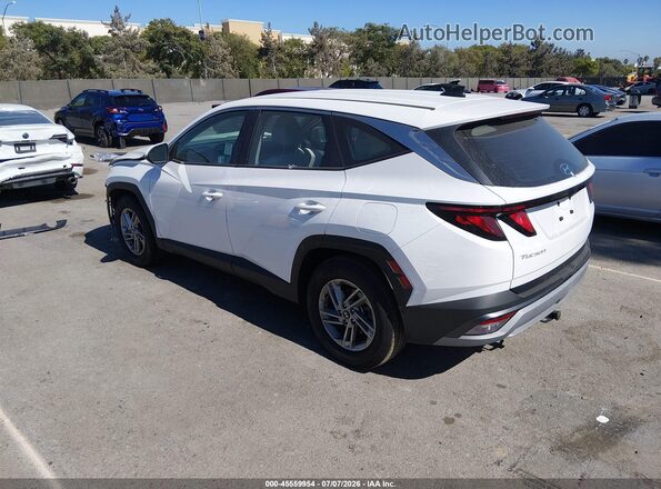 5NMJA3DEXSH493939 2025 HYUNDAI TUCSON White Tył lewy