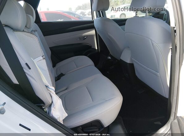 5NMJA3DEXSH493939 2025 HYUNDAI TUCSON White Widok naklejki z numerem VIN