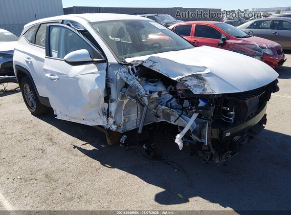 5NMJA3DEXSH493939 2025 HYUNDAI TUCSON White Widok wnętrza z tyłu
