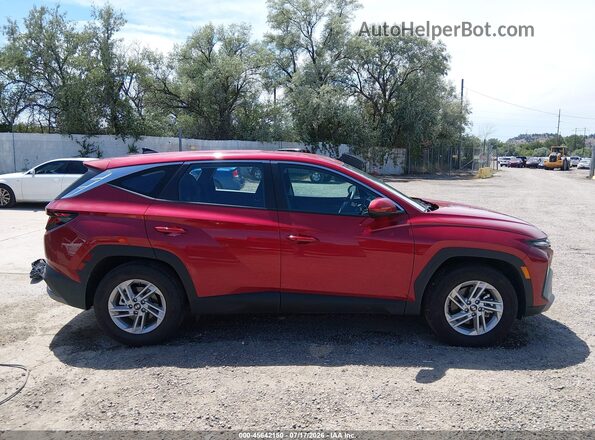 5NMJA3DEXTH702176 2026 HYUNDAI TUCSON Red Widok wnętrza z tyłu