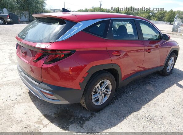 5NMJA3DEXTH702176 2026 HYUNDAI TUCSON Red Tył prawy