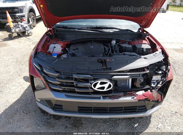 5NMJA3DEXTH702176 2026 HYUNDAI TUCSON Red Widok z tyłu