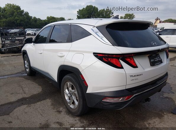 5NMJACAE2NH104896 2022 HYUNDAI TUCSON White Tył lewy