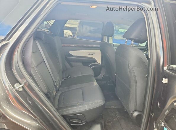5NMJACAE3PH208185 2023 HYUNDAI TUCSON Black Vista de los asientos traseros
