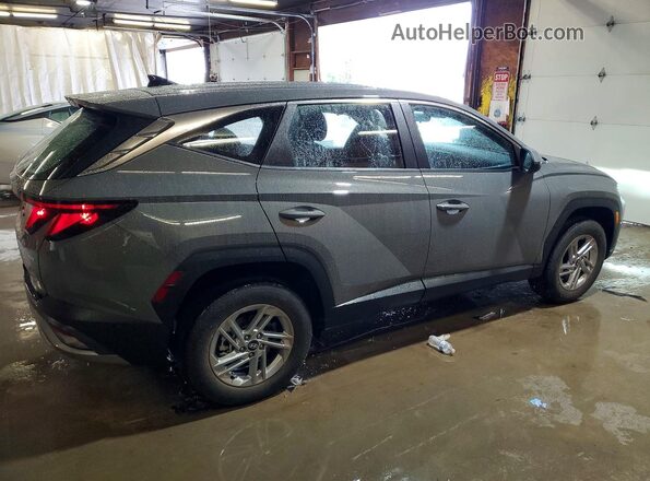 5NMJACDE0TH653067 2026 HYUNDAI TUCSON Gray Tył prawy