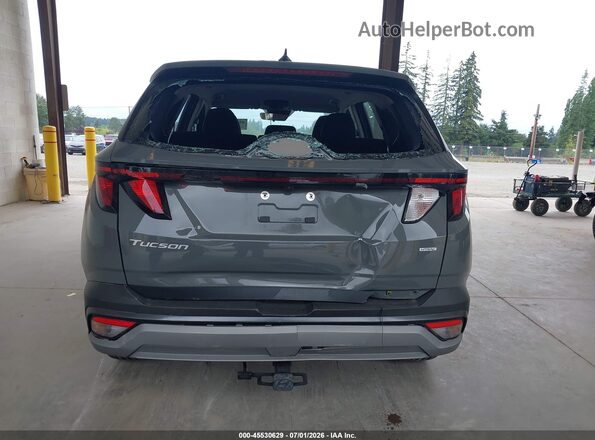5NMJACDE5SH514356 2025 HYUNDAI TUCSON Gray 