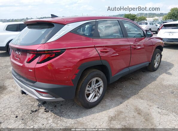 5NMJACDE5TH634529 2026 HYUNDAI TUCSON Бордовый Задняя правая четверть
