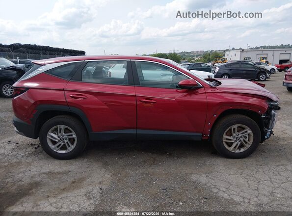 5NMJACDE5TH634529 2026 HYUNDAI TUCSON Бордовый Вид задней части салона