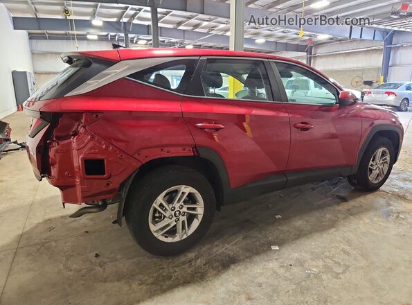 5NMJACDE7SH566751 2025 HYUNDAI TUCSON Red უკანა მარჯვენა