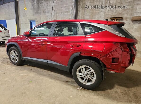 5NMJACDE7SH566751 2025 HYUNDAI TUCSON Red უკანა მარცხენა
