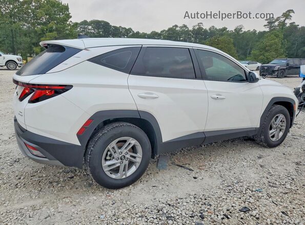 5NMJACDEXSH575248 2025 HYUNDAI TUCSON White Задня права чверть