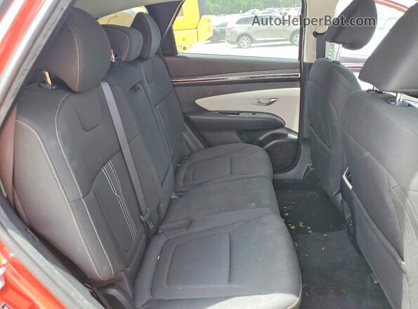 5NMJB3AE3PH208054 2023 HYUNDAI TUCSON Red Սալոնի հետևի տեսք