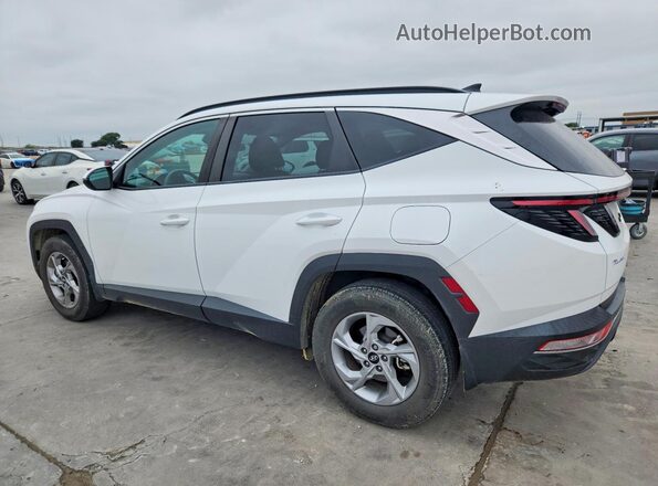 5NMJB3AE7PH233202 2023 HYUNDAI TUCSON White Trasero izquierdo