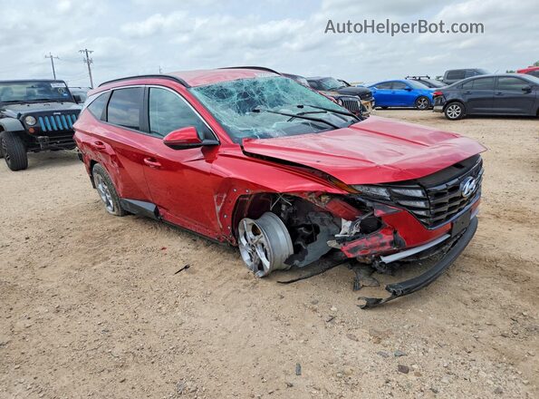 5NMJB3AE9PH202808 2023 HYUNDAI TUCSON Red Delantero derecho