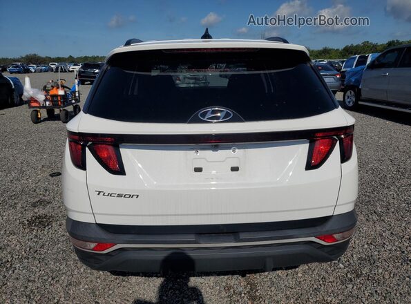 5NMJB3DE3RH302935 2024 HYUNDAI TUCSON White Rear view