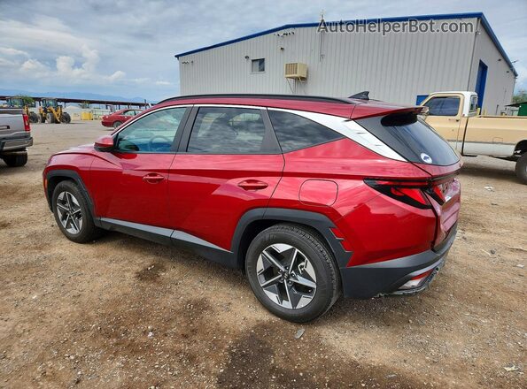 5NMJB3DE3SH464473 2025 HYUNDAI TUCSON Красный Задняя левая четверть