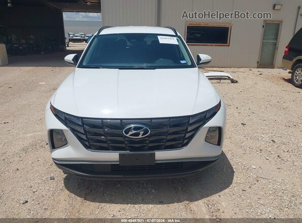 5NMJB3DE4RH399837 2024 HYUNDAI TUCSON White Rear interior view