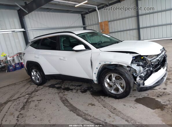 5NMJB3DE6RH395689 2024 HYUNDAI TUCSON White Vista interior trasera