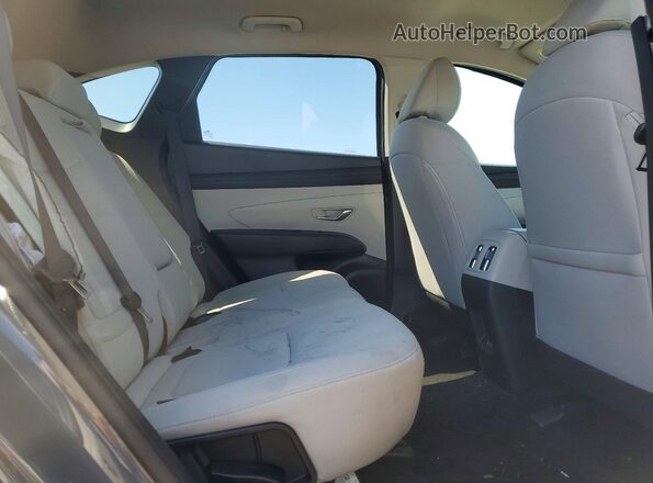 5NMJB3DE7SH493653 2025 HYUNDAI TUCSON Серый Вид задней части салона