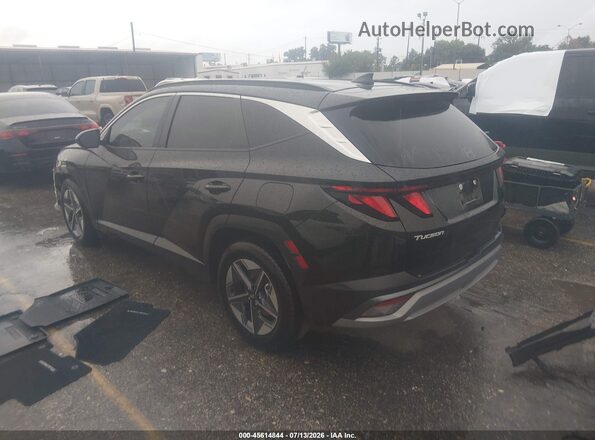 5NMJB3DE7TH664547 2026 HYUNDAI TUCSON Черный Задняя левая четверть