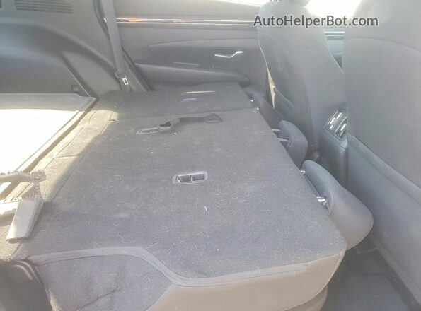 5NMJB3DE8RH321044 2024 HYUNDAI TUCSON Pink Rear seats view