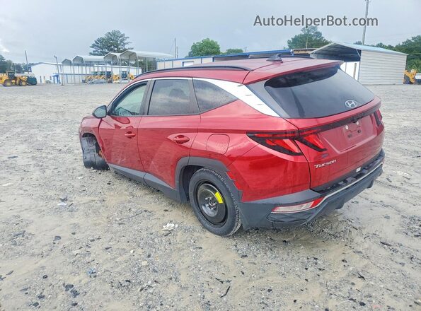 5NMJB3DE8RH406403 2024 HYUNDAI TUCSON Red უკანა მარცხენა