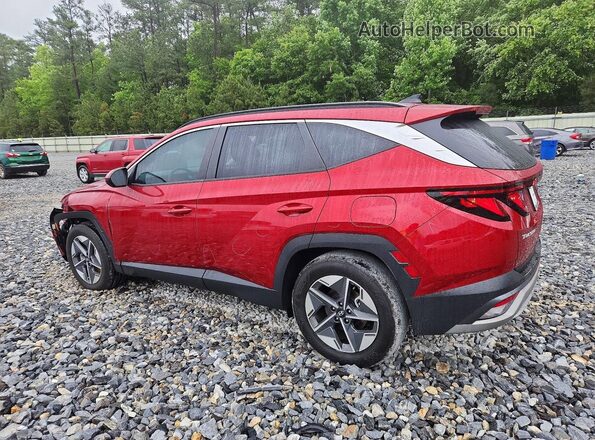 5NMJB3DEXSH447346 2025 HYUNDAI TUCSON Red უკანა მარცხენა