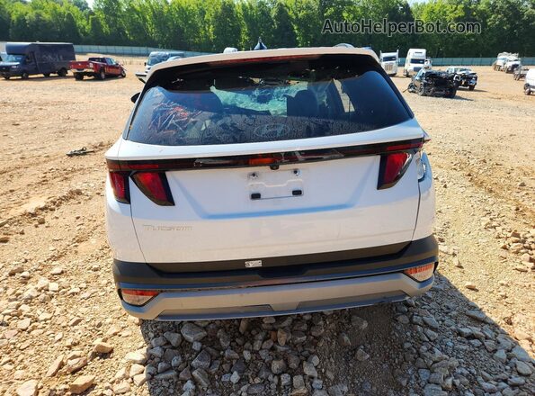 5NMJB3DEXSH508016 2025 HYUNDAI TUCSON Белый Вид сзади