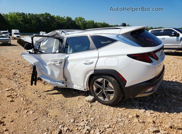 5NMJB3DEXSH508016 2025 HYUNDAI TUCSON Белый Задняя левая четверть