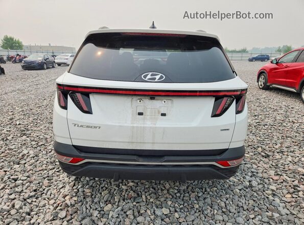 5NMJBCAE0NH107616 2022 HYUNDAI TUCSON White Widok z tyłu
