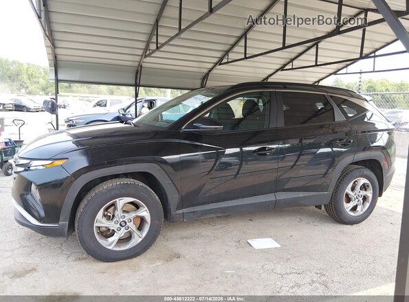 5NMJBCAE0PH172663 2023 HYUNDAI TUCSON Черный Панорамный вид салона 360°