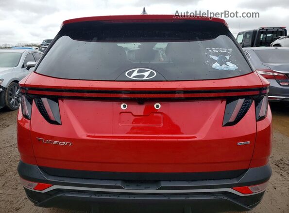 5NMJBCAE1NH043473 2022 HYUNDAI TUCSON Red Вид ззаду