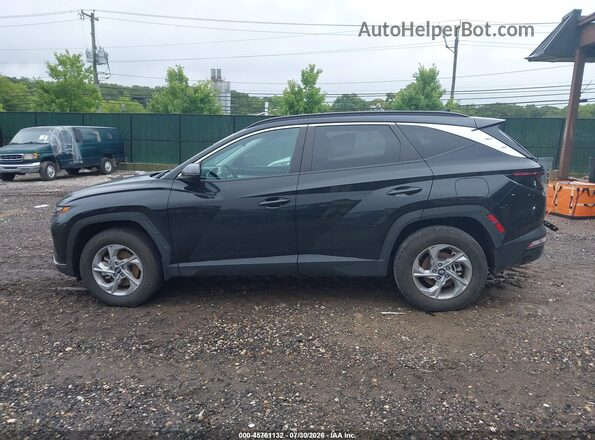 5NMJBCAE2PH202052 2023 HYUNDAI TUCSON Black Панорамний вид салону 360°
