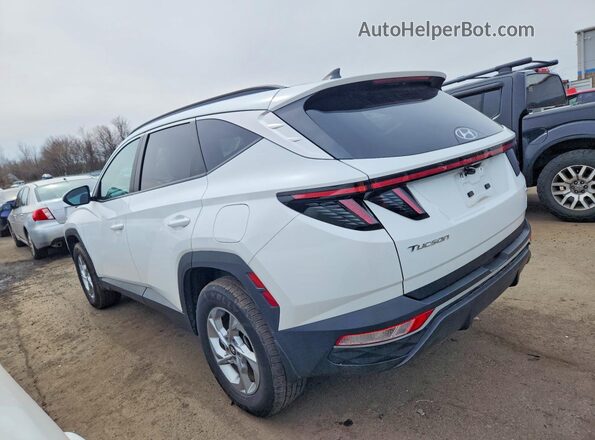 5NMJBCAE5PH263864 2023 HYUNDAI TUCSON Белый Задняя левая четверть