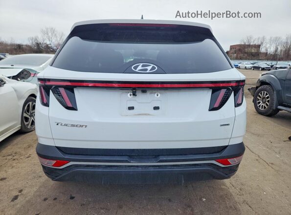5NMJBCAE5PH263864 2023 HYUNDAI TUCSON Белый Вид сзади