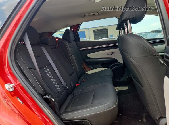 5NMJBCAE7PH184227 2023 HYUNDAI TUCSON Red Widok wnętrza z tyłu