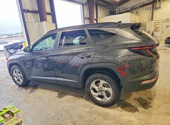 5NMJBCAE8PH203755 2023 HYUNDAI TUCSON Gray Задня ліва чверть