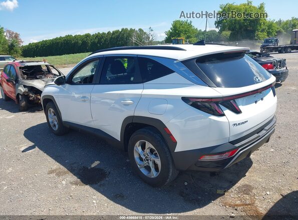 5NMJBCAE8PH260067 2023 HYUNDAI TUCSON White Rear left