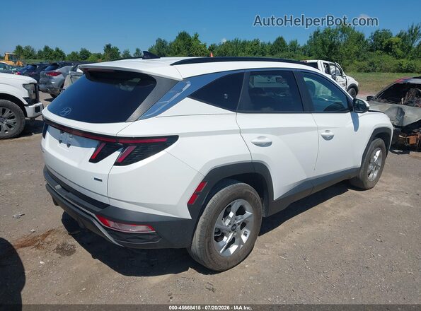 5NMJBCAE8PH260067 2023 HYUNDAI TUCSON White Rear right