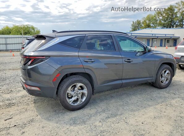5NMJBCAE9PH250356 2023 HYUNDAI TUCSON Gray Задня права чверть