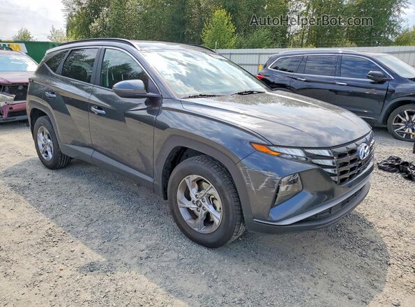 5NMJBCAE9PH250356 2023 HYUNDAI TUCSON Gray Передня права чверть
