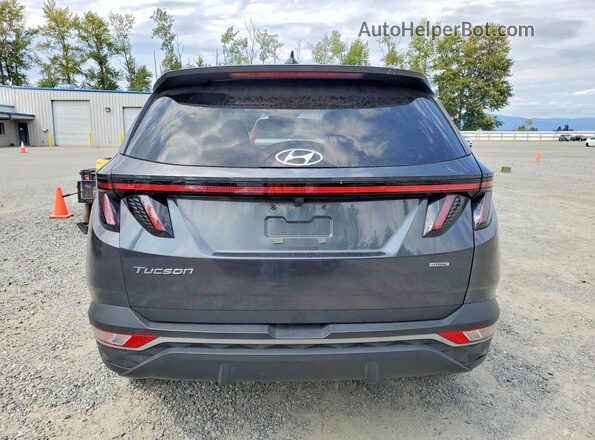 5NMJBCAE9PH250356 2023 HYUNDAI TUCSON Gray Вид ззаду
