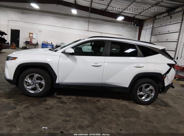 5NMJBCDE1RH324223 2024 HYUNDAI TUCSON Белый 