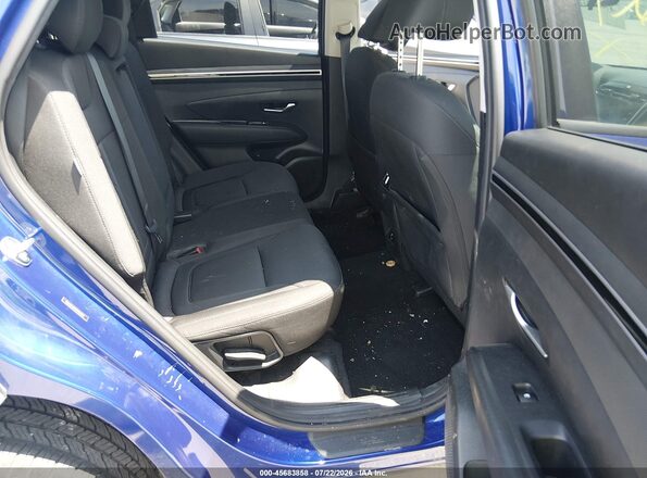 5NMJBCDE1RH354595 2024 HYUNDAI TUCSON Blue VIN կոդի պիտակի տեսք