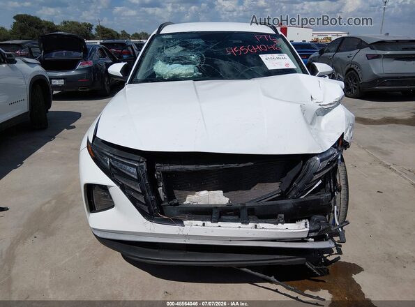 5NMJBCDE2RH381594 2024 HYUNDAI TUCSON White 