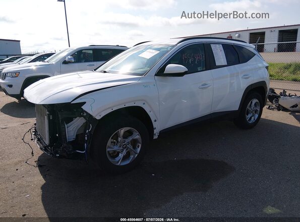 5NMJBCDE3RH388814 2024 HYUNDAI TUCSON White Przód lewy