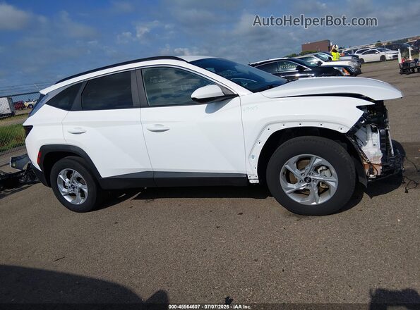 5NMJBCDE3RH388814 2024 HYUNDAI TUCSON White Widok wnętrza 360 stopni