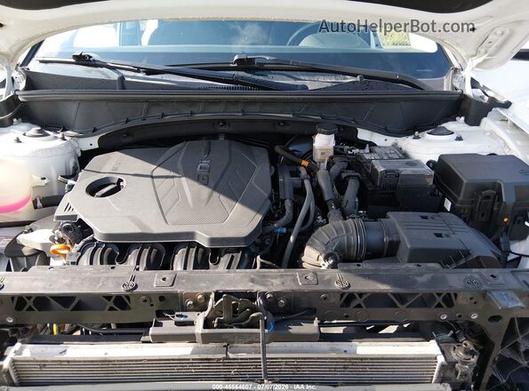 5NMJBCDE3RH388814 2024 HYUNDAI TUCSON White Widok z tyłu